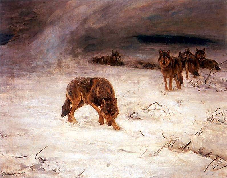 Wolves in a Snowstorm