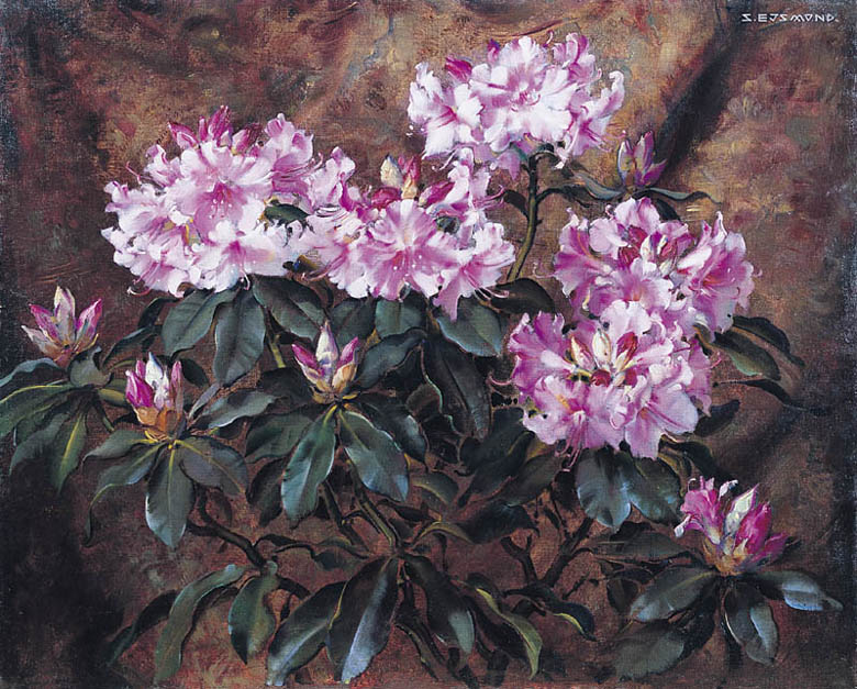 Rowy rododendron