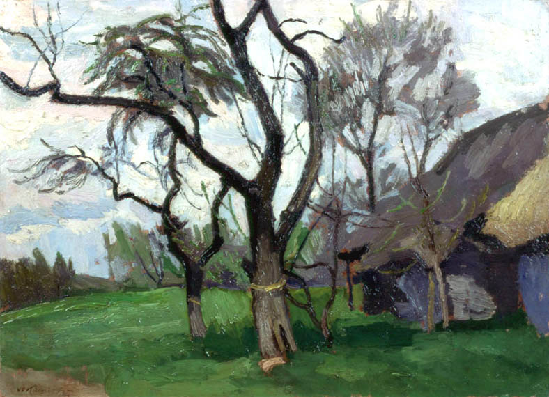 Landscape of Wola Radziszowska