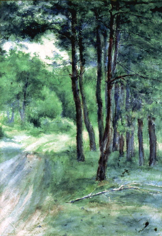 Droga w lesie