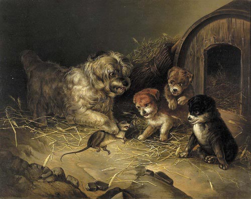 Szczur z psem i trzema szczeniakami