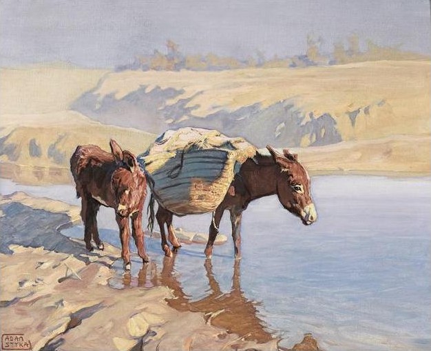 Donkeys by the River