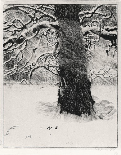 Oak in Snow Storm