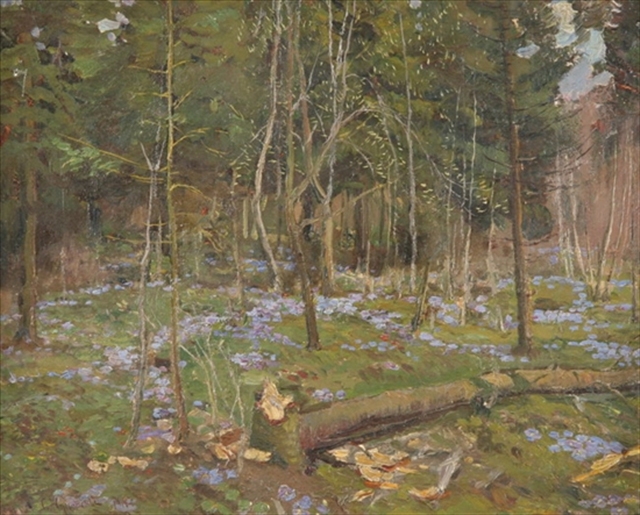 Forest in the Springtime