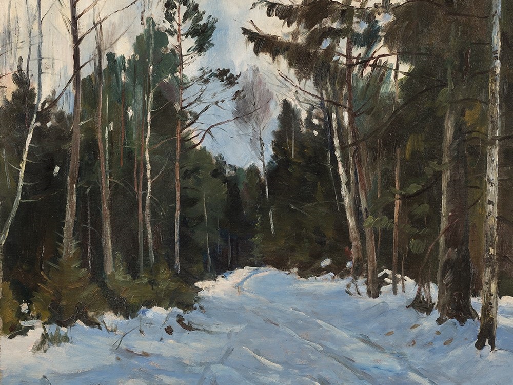 Droga przez las w zimie